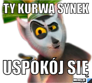 Ty kurwa synek  Uspokój się