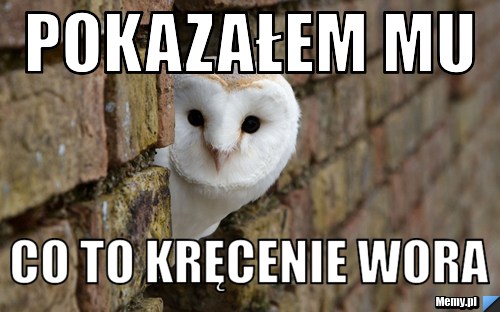 Pokazałem mu co to kręcenie wora