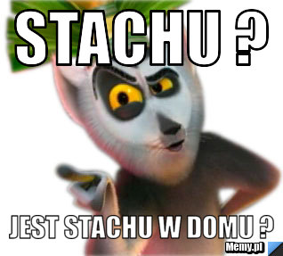 Stachu ? Jest Stachu W Domu ?