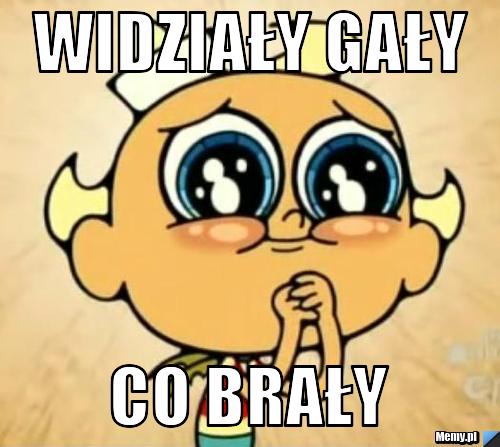 WIDZIAŁY GAŁY CO BRAŁY