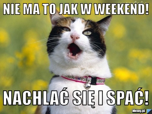 Nie ma to jak w weekend! Nachlać się i spać!