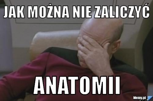 Jak można nie zaliczyć  ANATOMII