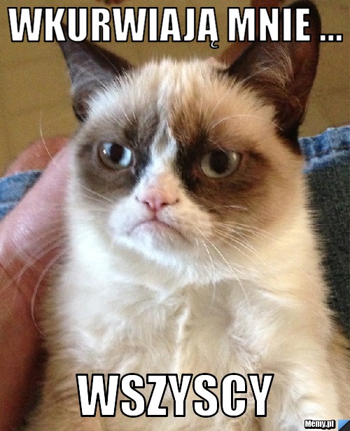 Wkurwiają mnie ... wszyscy