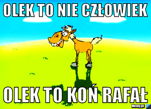 Olek to nie człowiek olek to koń rafał