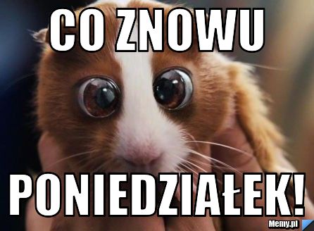 Co znowu poniedziałek!