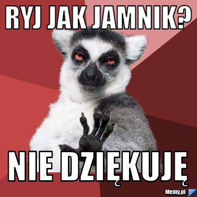 Ryj jak jamnik? nie dziękuję