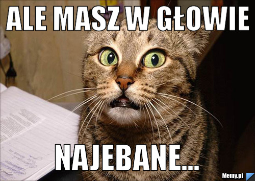 Ale masz w głowie najebane...