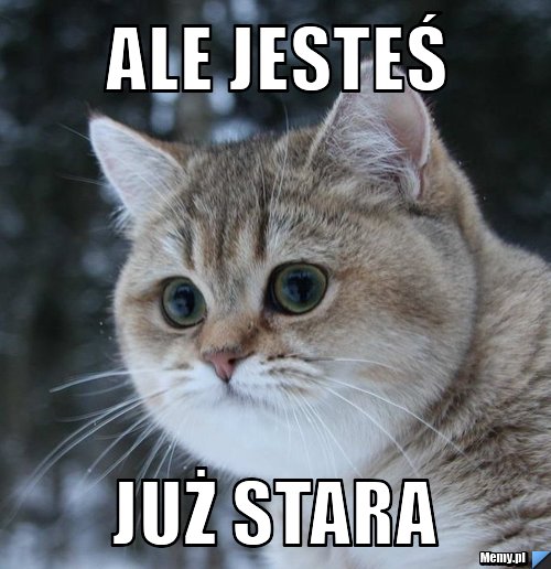 Ale jesteś już stara 