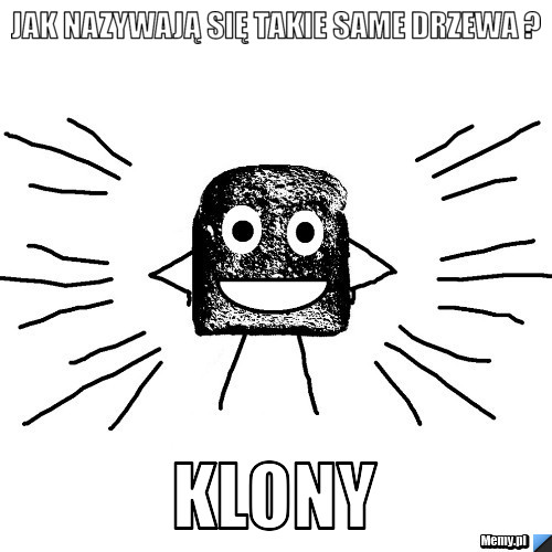 Jak nazywają się takie same drzewa ? Klony