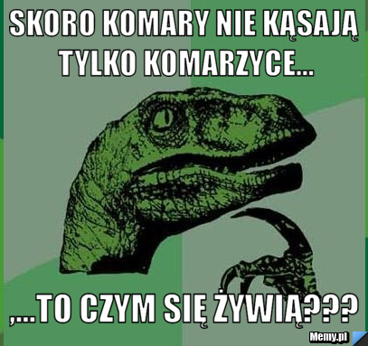 Skoro komary nie kąsają tylko komarzyce... ,...to czym się żywią???