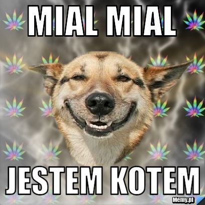 Mial Mial  jestem kotem