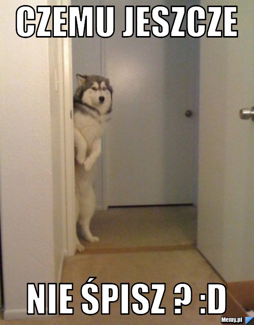 CZEMU JESZCZE NIE ŚPISZ ? :D