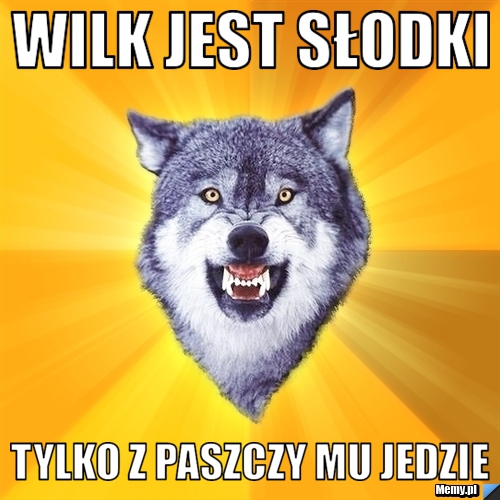 Wilk jest słodki tylko z paszczy mu jedzie