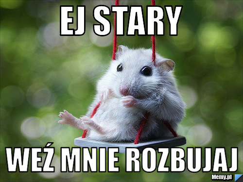 Ej stary weź mnie rozbujaj