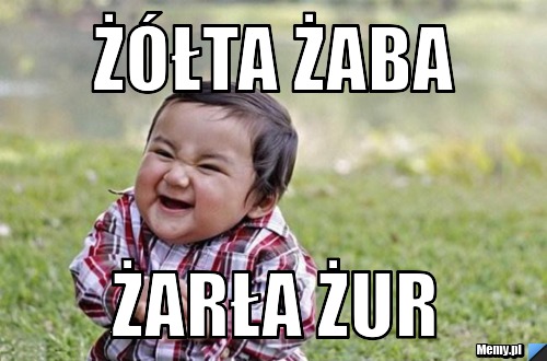 żółta żaba  żarła żur