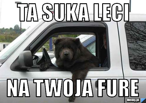 TA SUKA LECI na twoja fure