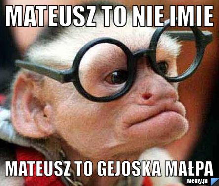 Mateusz to nie imie mateusz to gejoska małpa