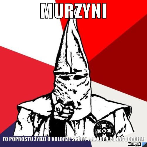 MURZYNI to poprostu żydzi o kolorze skóry jak kupa po jagodach!!!
