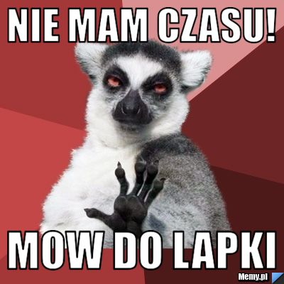 Nie mam czasu! mow do lapki