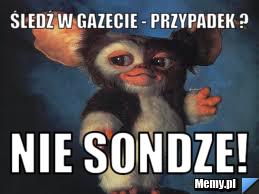 Śledź w gazecie - przypadek ? Nie sondze! 