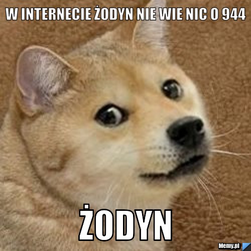 W internecie żodyn nie wie nic o 944 ŻODYN