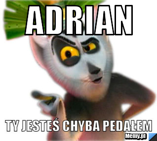 Adrian Ty jesteś chyba pedałem
