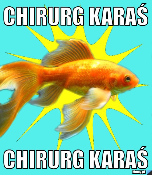 Chirurg karaś chirurg karaś