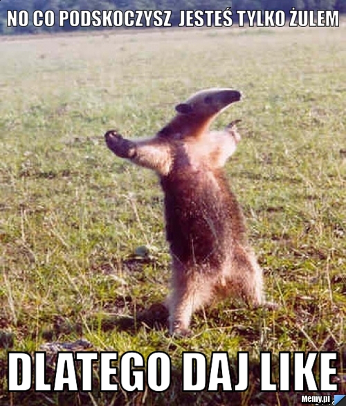 No co podskoczysz  jesteś tylko żulem dlatego daj like