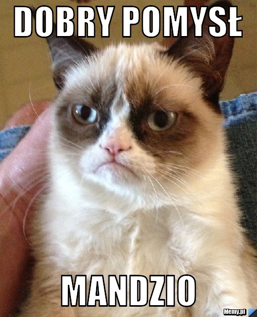 Dobry pomysł Mandzio