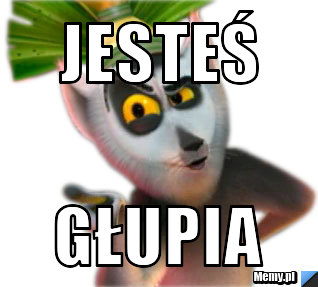 Jesteś głupia