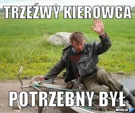 Trzeźwy kierowca potrzebny był