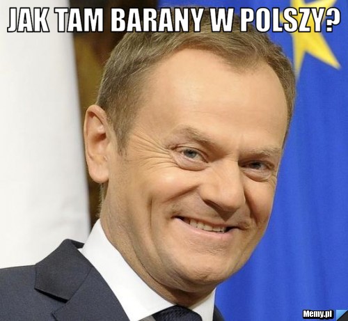 Jak tam barany w polszy? 