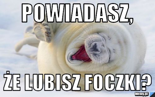 Powiadasz, że lubisz foczki?