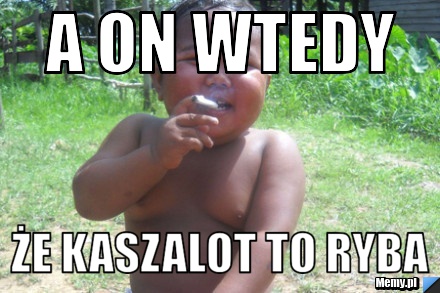 A on wtedy że kaszalot to ryba