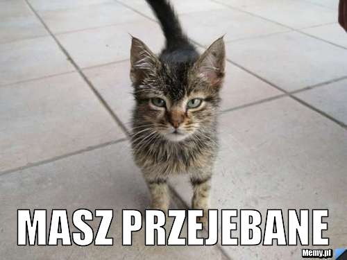  masz przejebane
