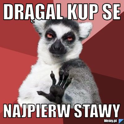 Drągal kup se najpierw stawy