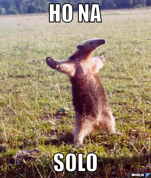 Ho na solo