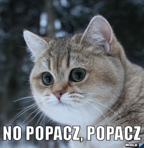  no popacz, popacz