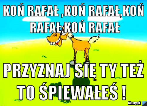 KOŃ Rafał ,koń Rafał,koń Rafał,koń Rafał  Przyznaj się ty też to śpiewałeś ! 