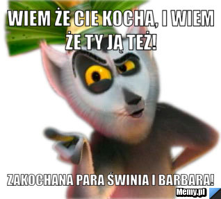 Wiem że cie kocha, i wiem że ty ją też!   Zakochana para świnia i Barbara!