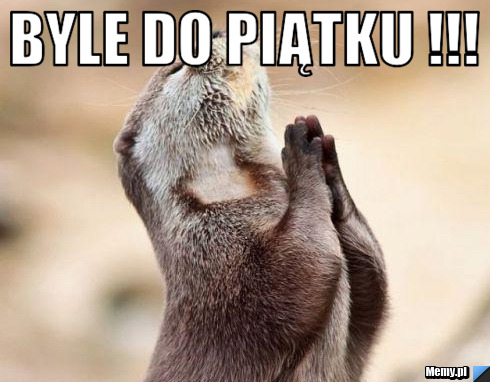 Byle do piątku !!! 