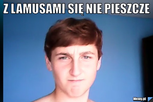 Z LAMUSAMI SIĘ NIE PIESZCZE 