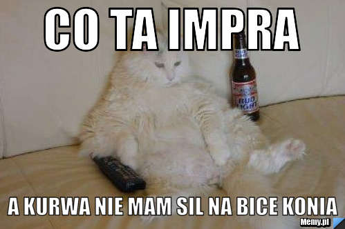 CO TA IMPRA  A KURWA NIE MAM SIL NA BICE KONIA