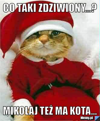 Co taki zdziwiony...? mikołaj też ma kota...
