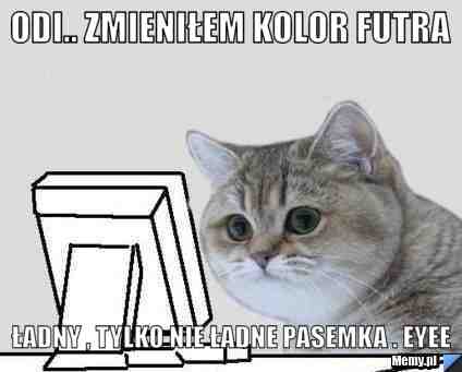 ODI.. Zmieniłem kolor futra Ładny , tylko nie ładne pasemka . eyee