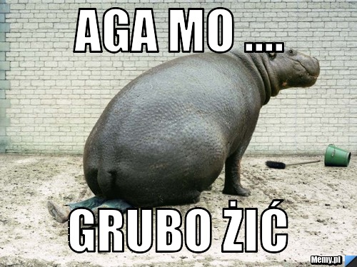 Aga mo .... grubo żić 