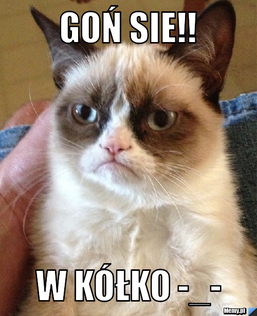 Goń sie!! w kółko -_-