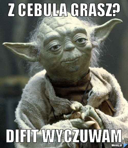 Z CEBULA GRASZ? DIFIT WYCZUWAM