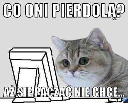 Co oni pierdolą? aż sie paczać nie chce...