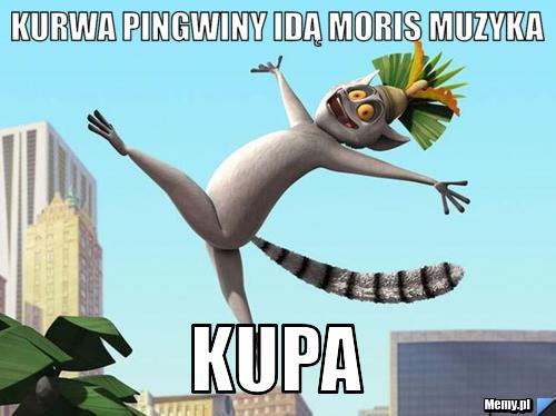 Kurwa pingwiny idą moris muzyka kupa